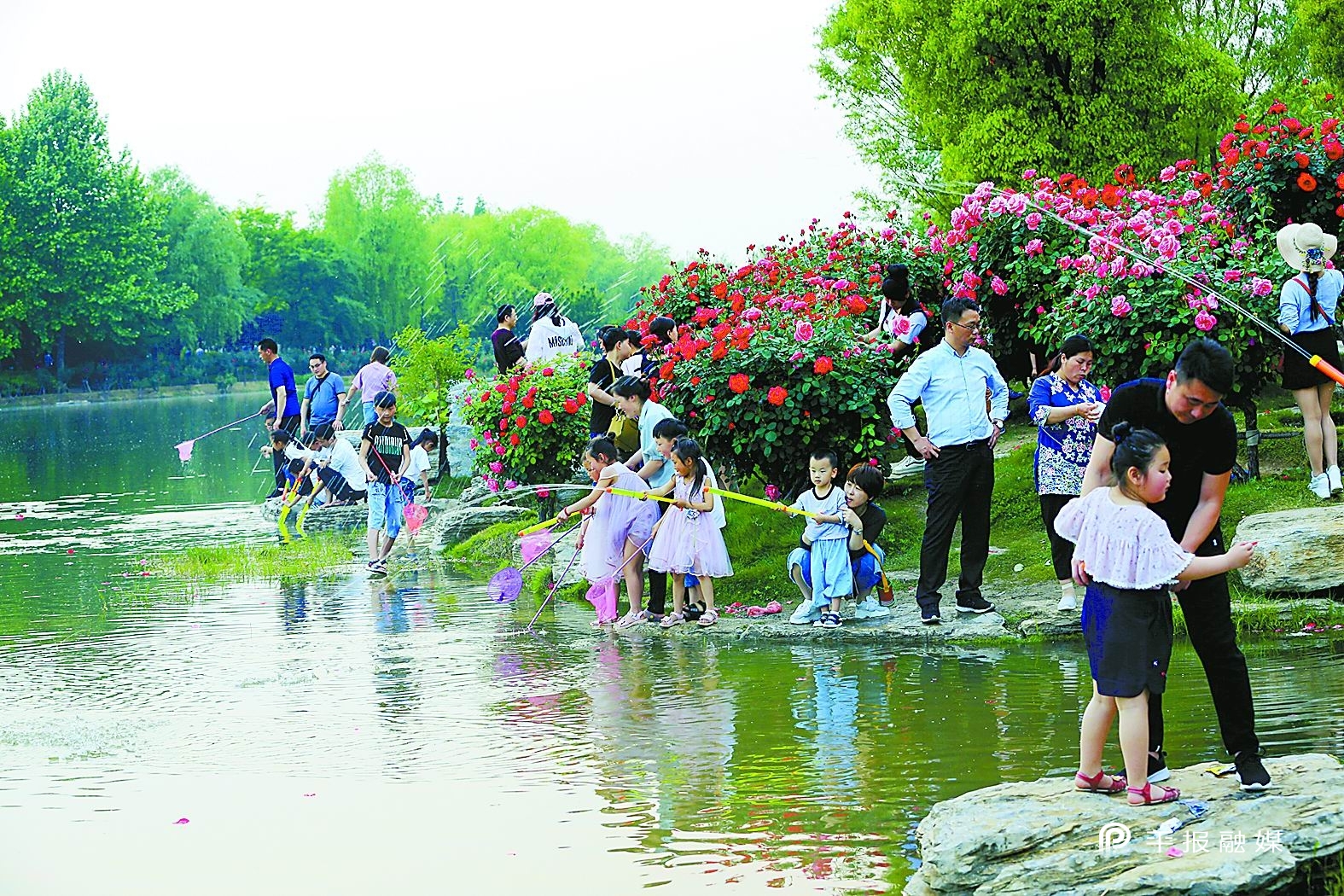 跨越——回望五年路喜迎*党**代会｜美丽示范区魅力幸福城