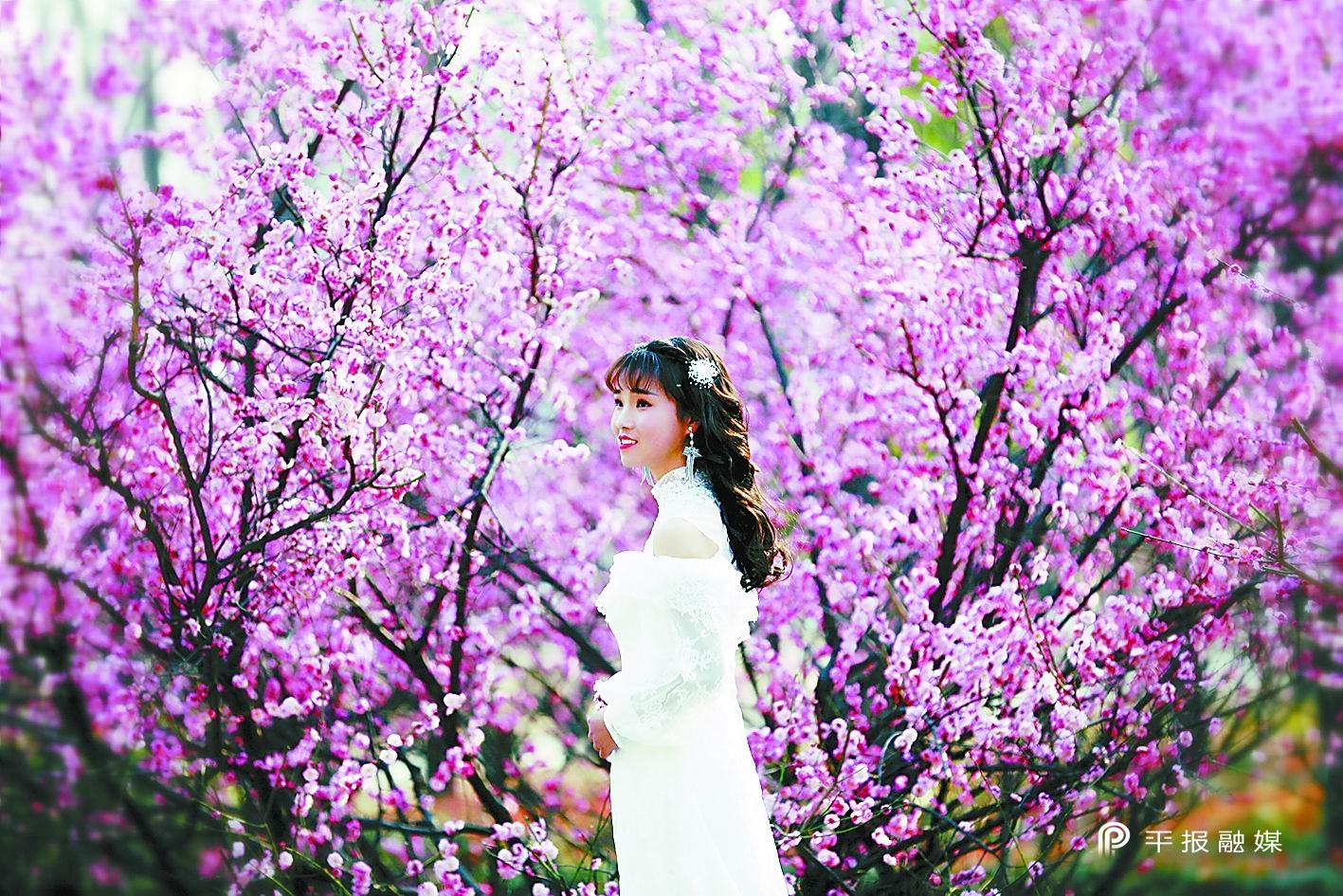 跨越——回望五年路喜迎*党**代会｜美丽示范区魅力幸福城