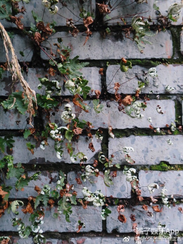 当店员送外卖，没出道的选秀选手现在怎么样了？有的真的有些惨