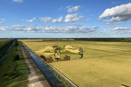 北大荒中华大粮仓,北大荒有什么值得游玩的