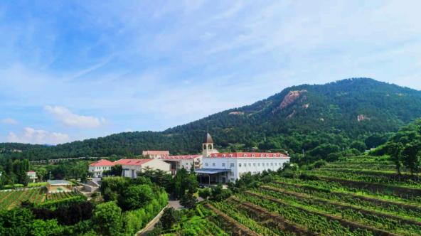 青岛崂山区旅游攻略免费游海岸线,青岛旅游攻略崂山区