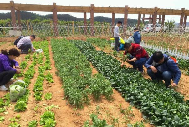 青岛崂山区旅游攻略免费游海岸线,青岛旅游攻略崂山区