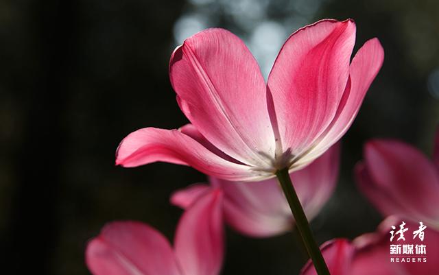 让你变厉害的几种思维方式,让你变厉害的15个好习惯