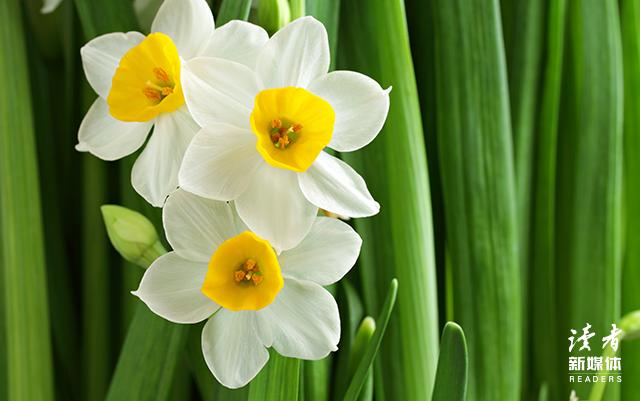 让你变厉害的几种思维方式,让你变厉害的15个好习惯