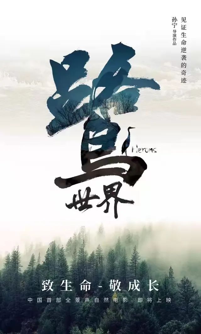 教育部推荐的中小学40部影片,教育部向全国推荐的优秀影片