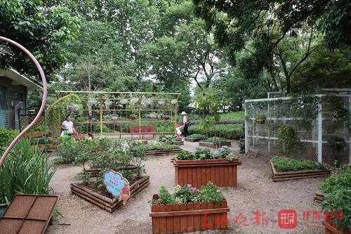 昆明国庆免费开放公园,国庆昆明这七大公园好看又好玩