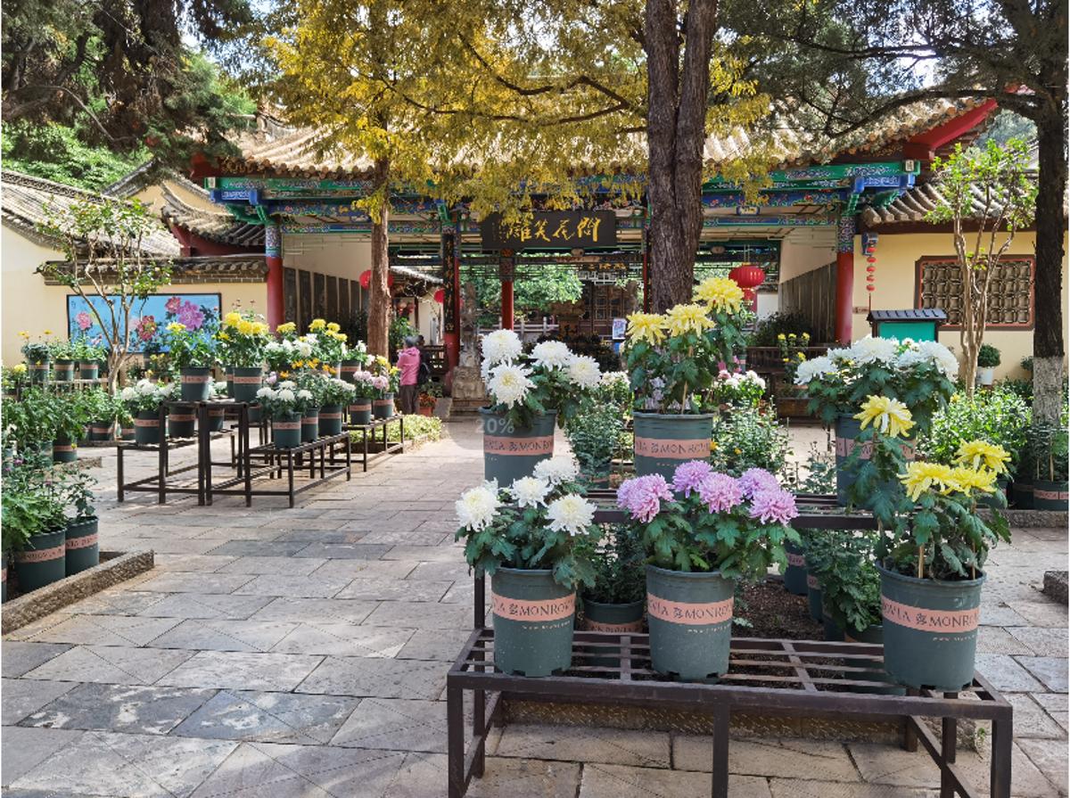 昆明国庆免费开放公园,国庆昆明这七大公园好看又好玩