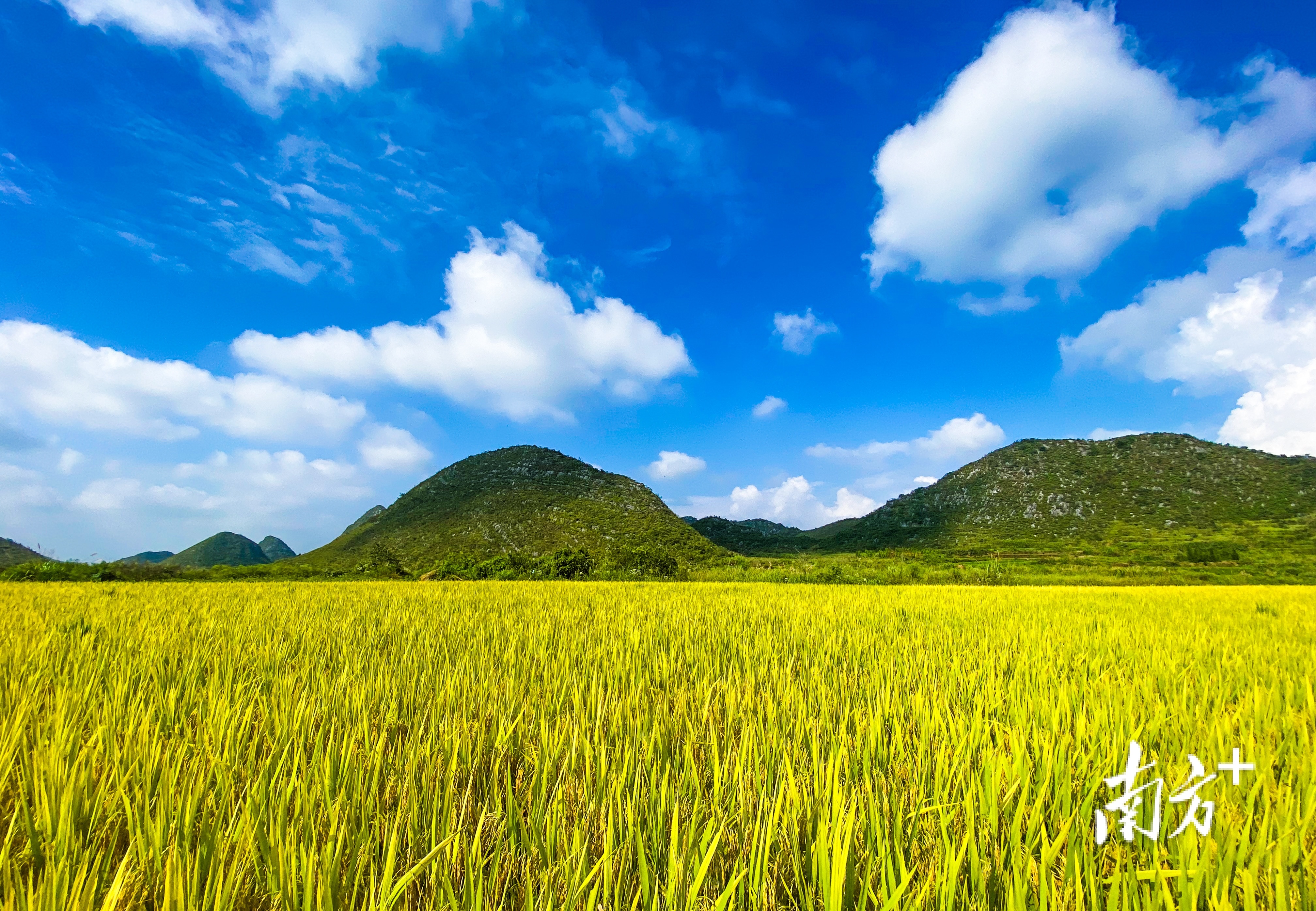 瑶乡一幅画盛开旅游花｜韶关乳源