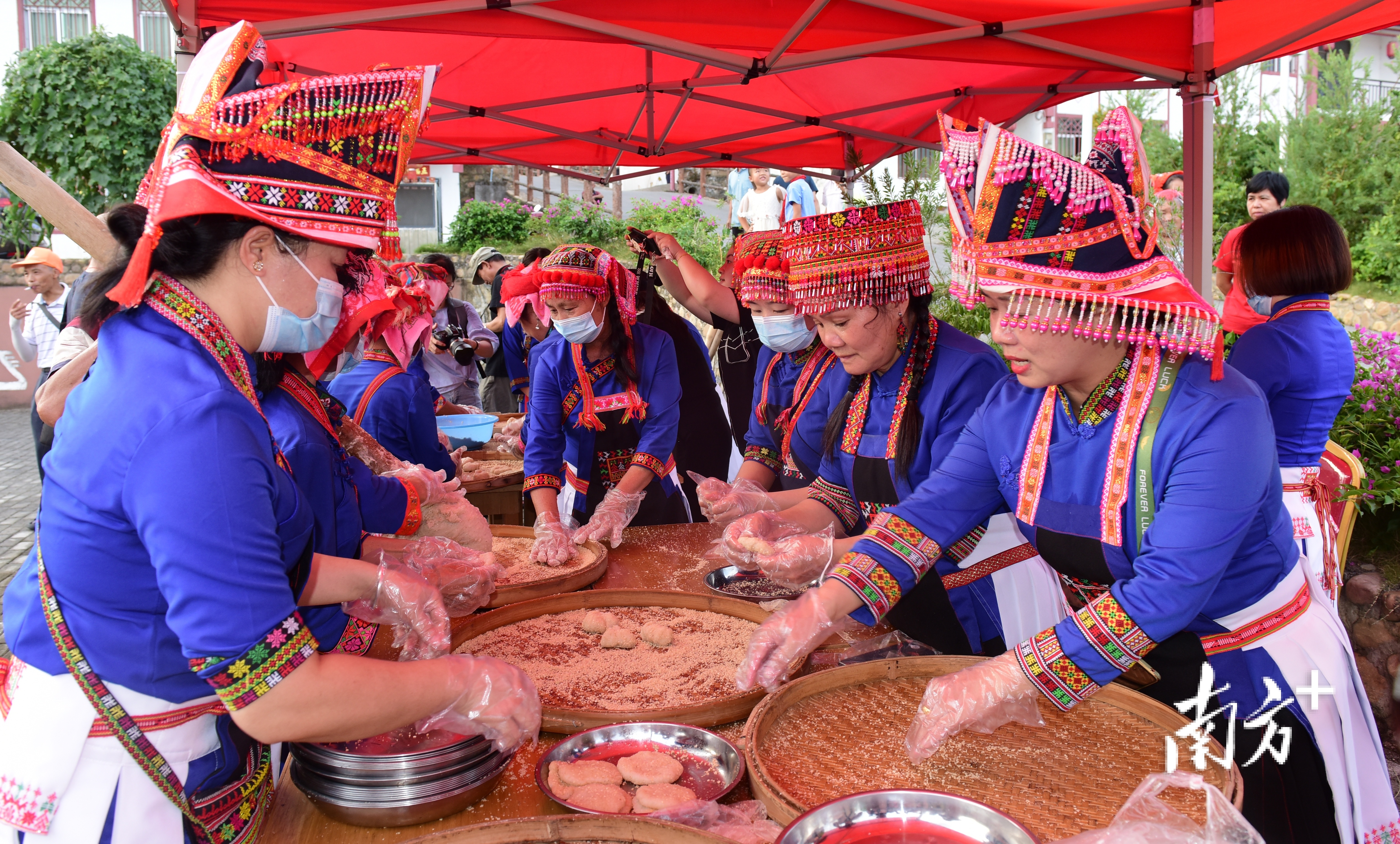 瑶乡一幅画盛开旅游花｜韶关乳源