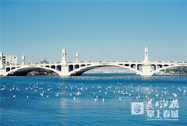 超浪漫的打卡地图,大理景点打卡