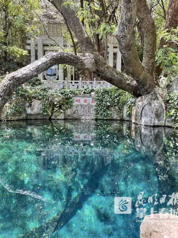 超浪漫的打卡地图,大理景点打卡