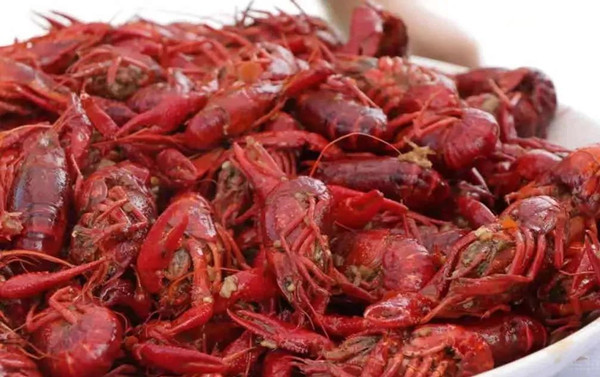 寻找中国最美大米产区,南县稻虾米官网