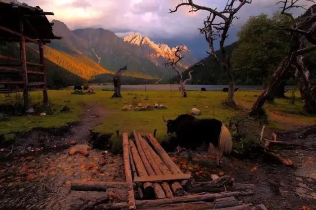 2020年10月3号雅康高速路况,雅康高速10月1号的路况