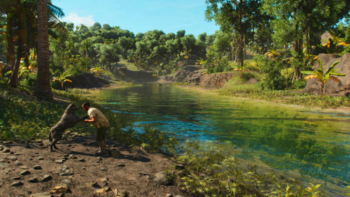 孤岛惊魂6最清晰画质,孤岛惊魂6测试版和完整版区别