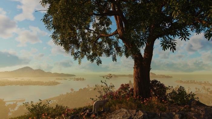 孤岛惊魂6最清晰画质,孤岛惊魂6测试版和完整版区别