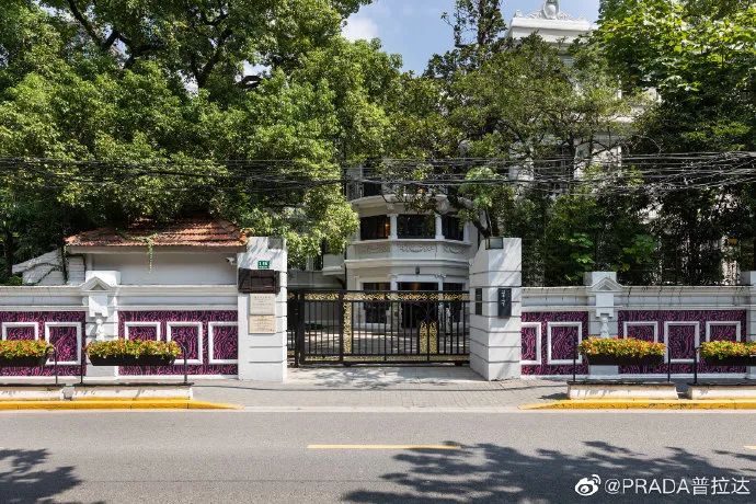 prada菜市场扔菜被拍到,prada菜市场卖的贵吗