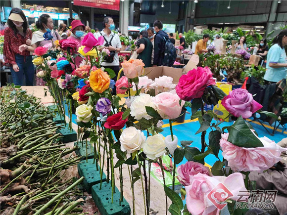 昆明斗南花卉市场亚洲最大,昆明斗南花卉市场是亚洲最大的吗