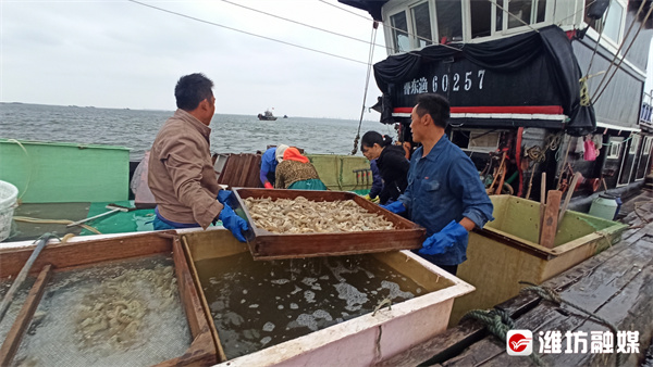 金秋十月稻谷满仓丰收的喜悦,丰收季节鱼满仓