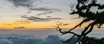 中国十大强镇排名广西,广西最有实力城市排名