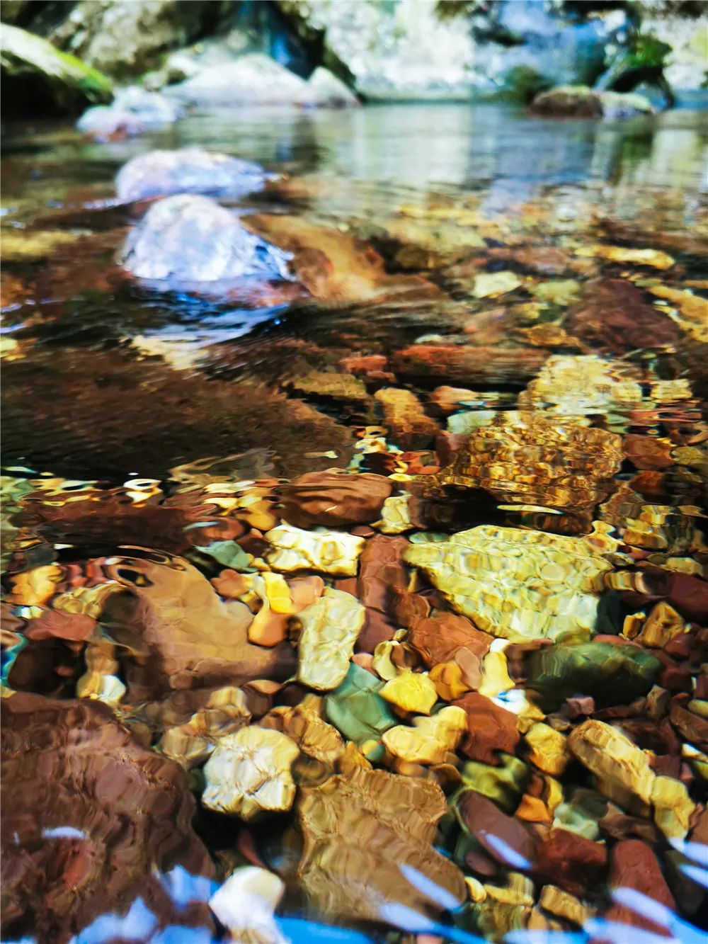 中国十大强镇排名广西,广西最有实力城市排名