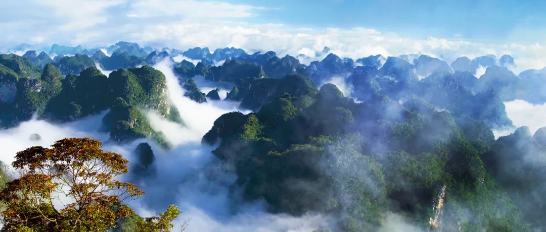 中国十大强镇排名广西,广西最有实力城市排名