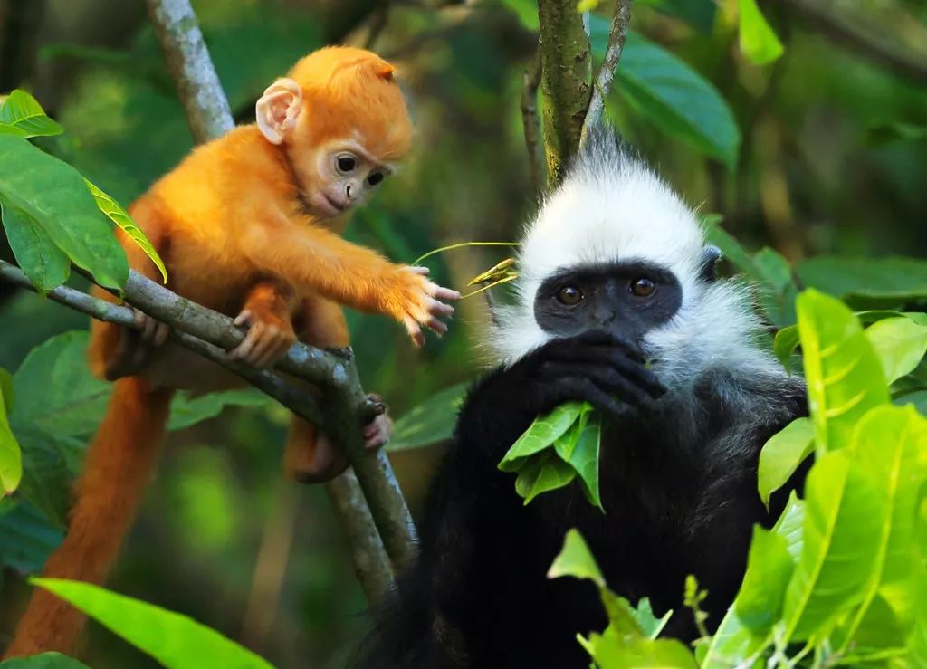 中国十大强镇排名广西,广西最有实力城市排名