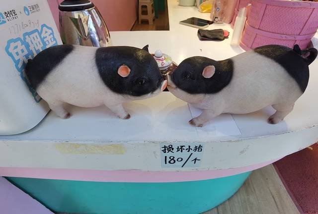 五上贵州‖我和贵州的不了情