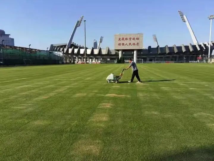 省体时隔9年再亮相，“圣体”展现新活力