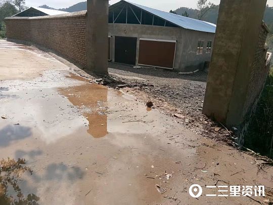 猪粪乱倒发出恶臭,村民养猪污水粪便到处流怎么投诉