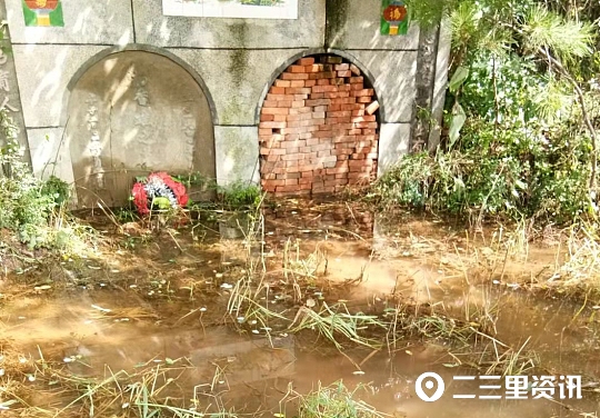 猪粪乱倒发出恶臭,村民养猪污水粪便到处流怎么投诉