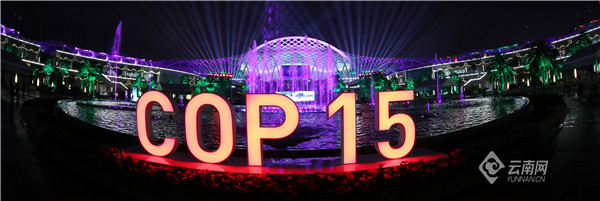 昆明cop15滇池国际会展中心游玩,昆明滇池cop15夜景
