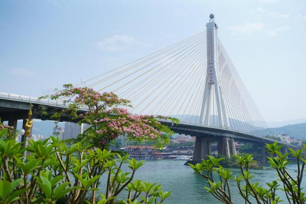 「百城79」景洪：无法拒绝的旅游胜地