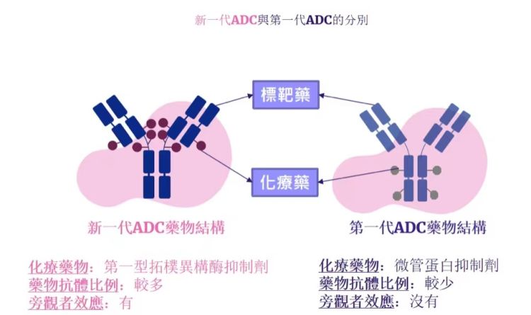 国际医学界新研究:新一代“生物导弹”成抗癌新方向