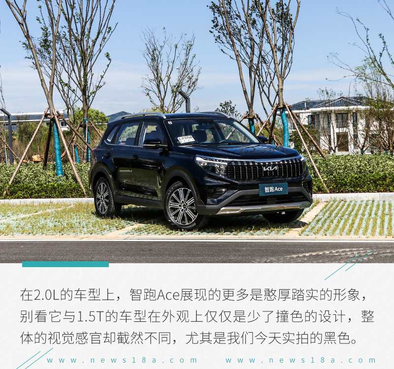 最具性价比的起亚suv,性价比高的二手起亚suv