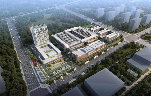 你好,我是福瑞达|而“丽”之年,重新认识“90后”福瑞达