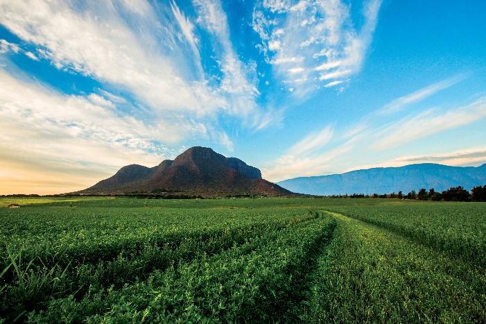安利雅姿宏邦奇亚视频,雅姿宏邦奇亚系列焕活紧致方案