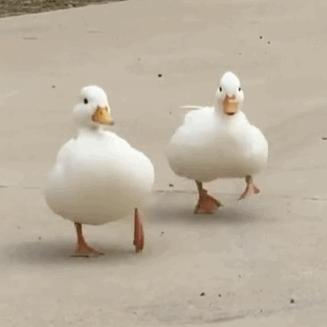 段奕宏撕心裂肺的哭戏,段奕宏感人落泪微电影视频