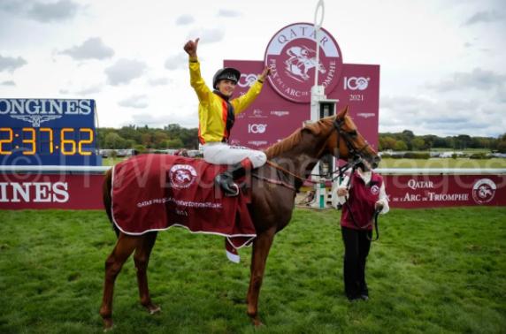 马匹数量世界排名,世界排名前十的名马