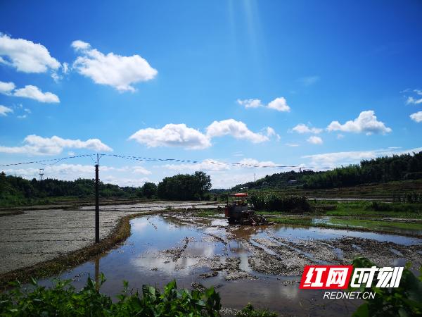 天元区:盘活集体经济闯出发展新路