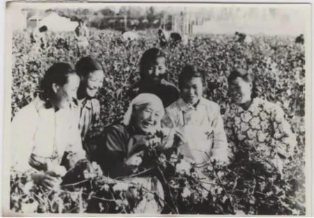 陕西渭南红色故事大全,渭南红色档案图片