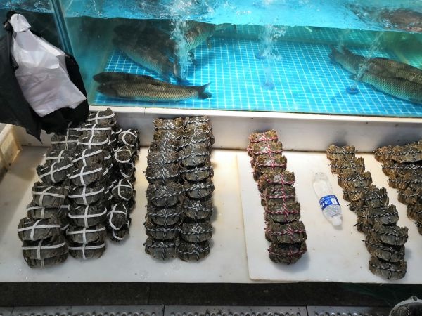 44只母蟹多少钱一斤,长江蟹是哪儿产的鲜蟹多少钱一斤