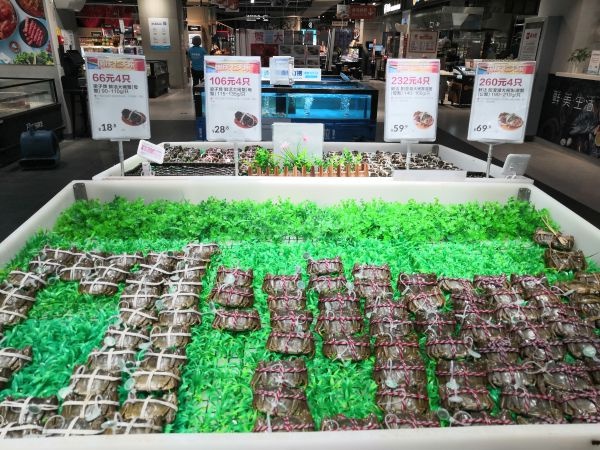 44只母蟹多少钱一斤,长江蟹是哪儿产的鲜蟹多少钱一斤