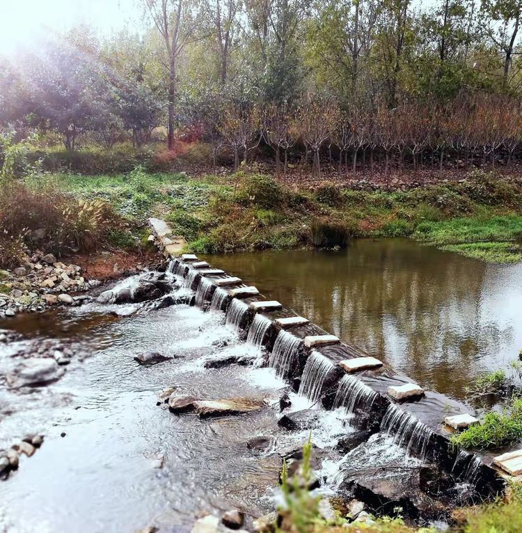 从电影《长津湖》想到的/赵顺年