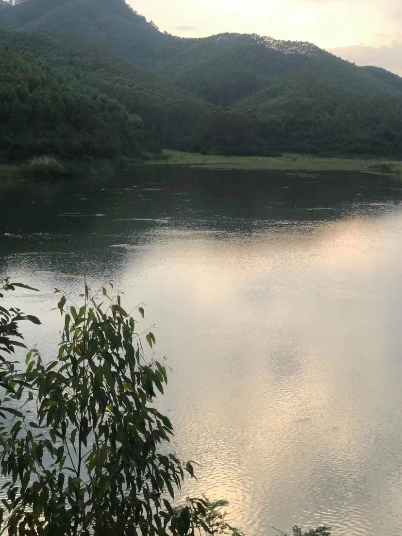 姐姐转战多个水库，鲮鱼爆护，豆豉鲮鱼不吃却拉回一麻袋有毒木薯