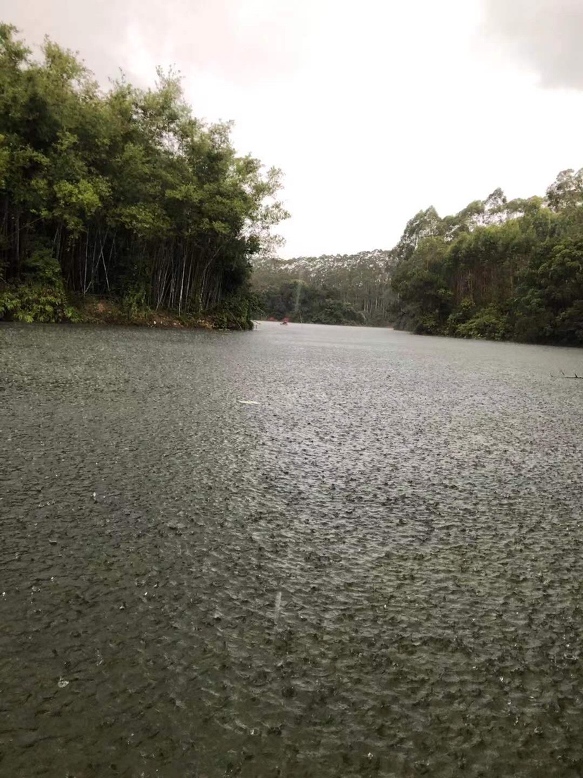 姐姐转战多个水库，鲮鱼爆护，豆豉鲮鱼不吃却拉回一麻袋有毒木薯