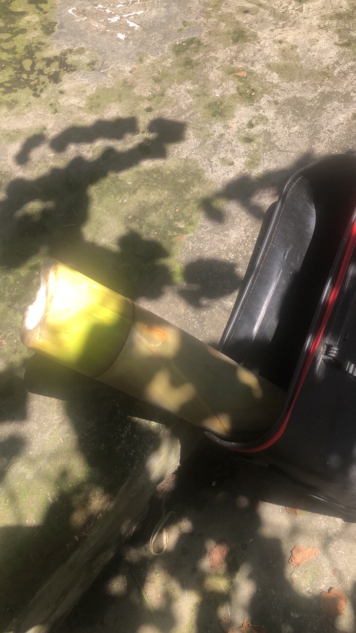 姐姐转战多个水库，鲮鱼爆护，豆豉鲮鱼不吃却拉回一麻袋有毒木薯