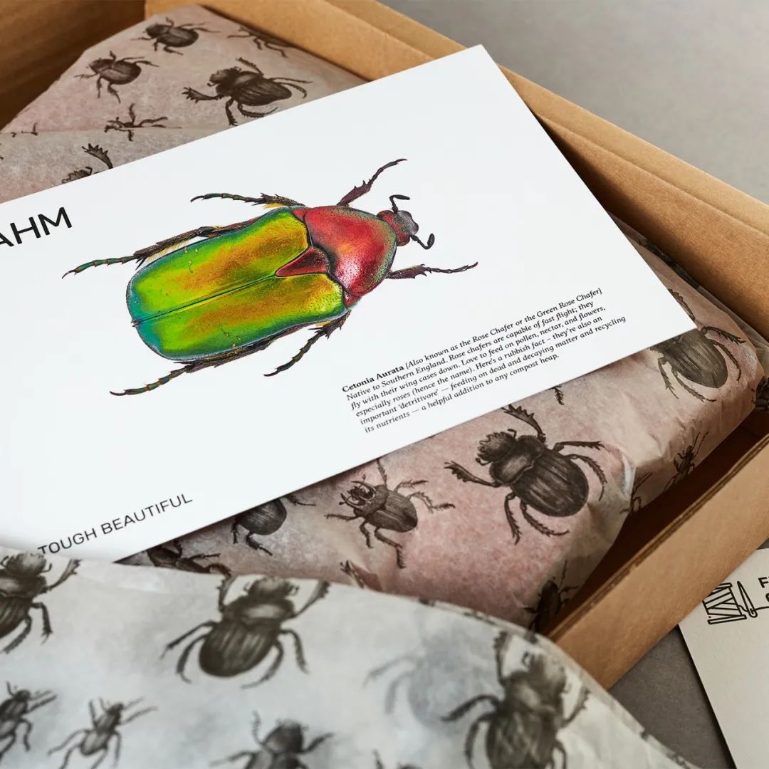 2022pentawards包装设计大赛,顶级包装设计大奖作品