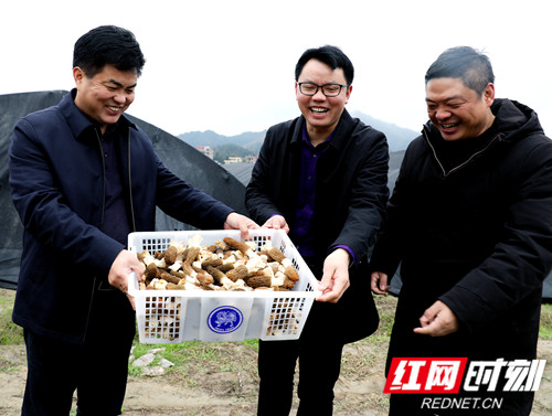 隆回县2024年重大项目表,邵阳隆回2022年重大项目建设清单