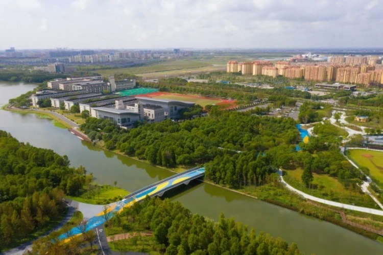 未来的上海临港新区,临港的未来发展怎么样