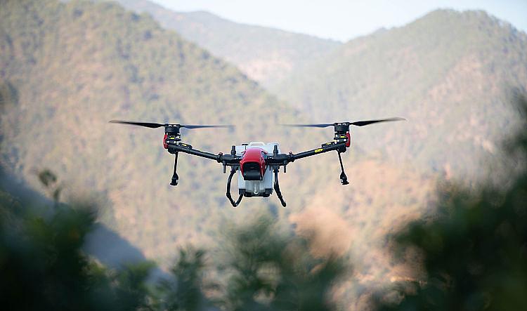 90后返乡农业创业,90后小夫妻离职回家创业做农业